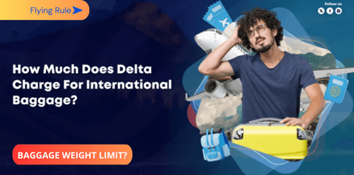 how much does delta charge for international baggage