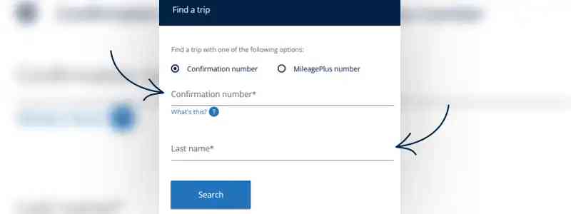 submit the booking reference number and the passenger’s last name