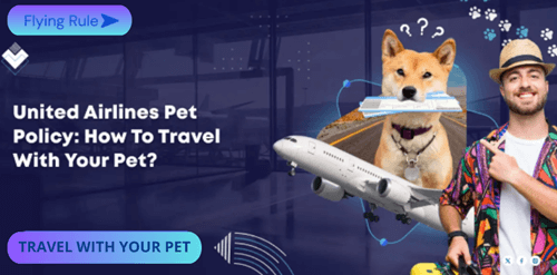 united airlines pet policy