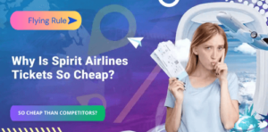 why is spirit airlines tickets so cheap